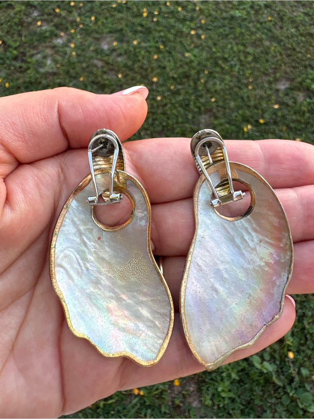 Iridescent Shell Drop Earrings with Gold Trim - Women's Jewelry